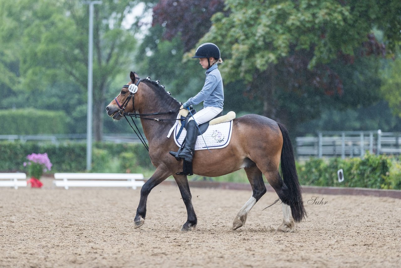 Bild 54 - Pony Akademie Turnier